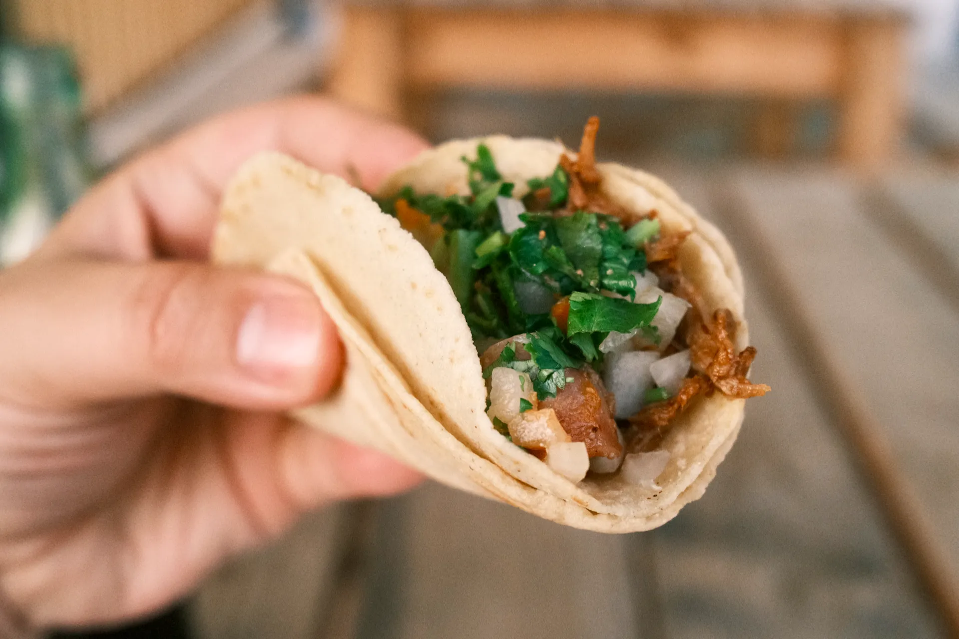 a hand holding a birria taco